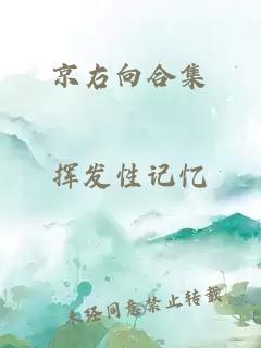 京右向合集